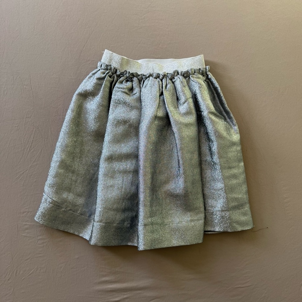 Fraze Shine Full Mini Skirt